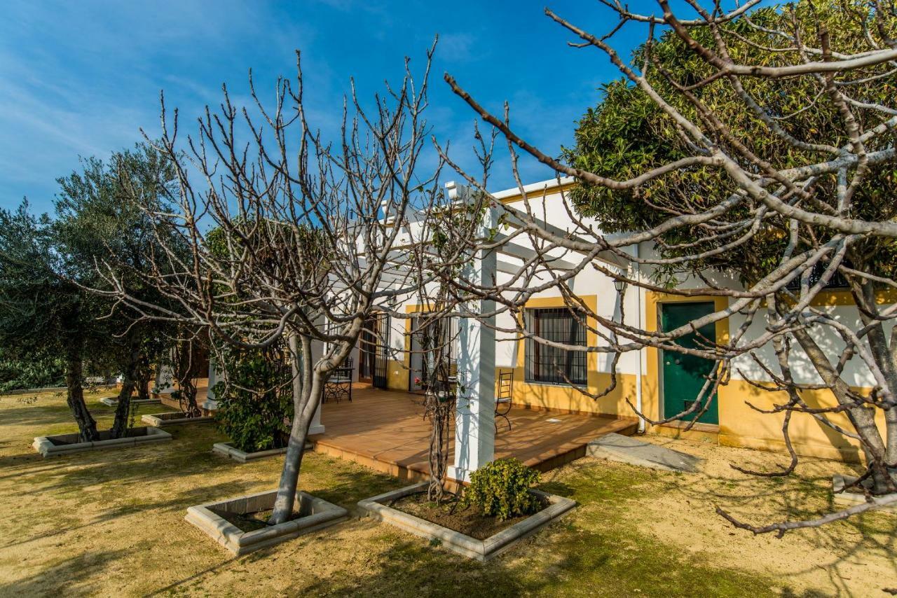 Vivienda Rural Olivar De San Telmo Arcos de la Frontera Dış mekan fotoğraf