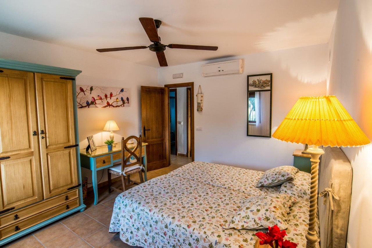 Vivienda Rural Olivar De San Telmo Arcos de la Frontera Dış mekan fotoğraf