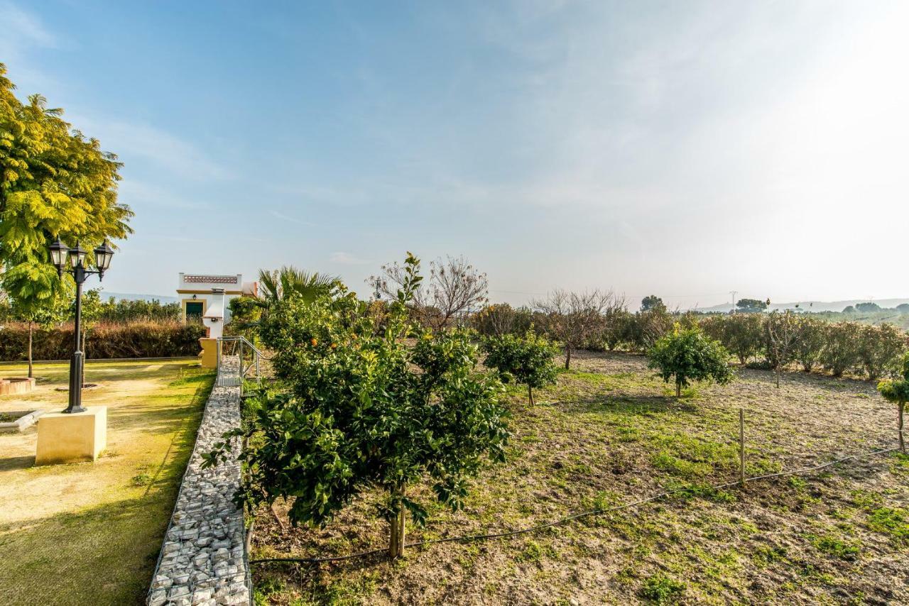 Vivienda Rural Olivar De San Telmo Arcos de la Frontera Dış mekan fotoğraf