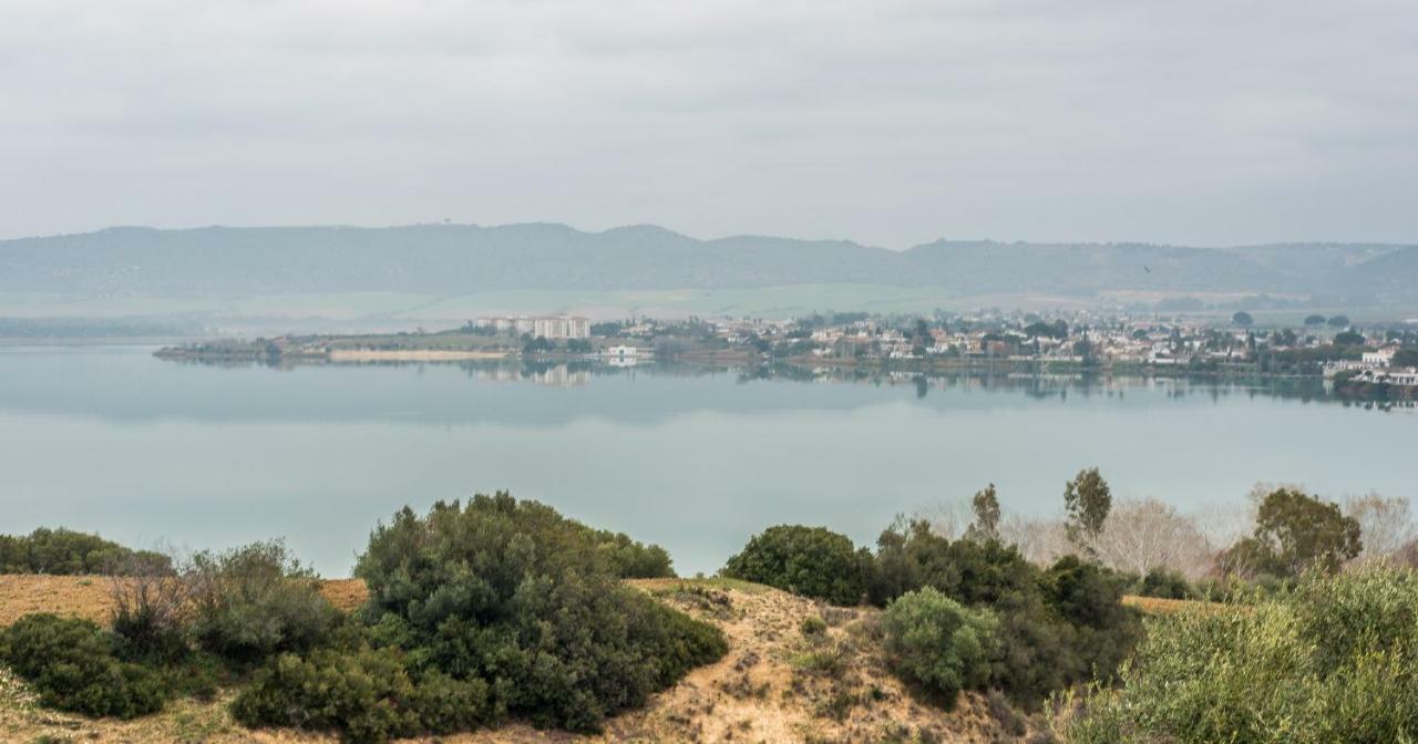 Vivienda Rural Olivar De San Telmo Arcos de la Frontera Dış mekan fotoğraf