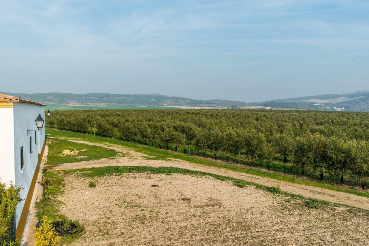 Vivienda Rural Olivar De San Telmo Arcos de la Frontera Dış mekan fotoğraf